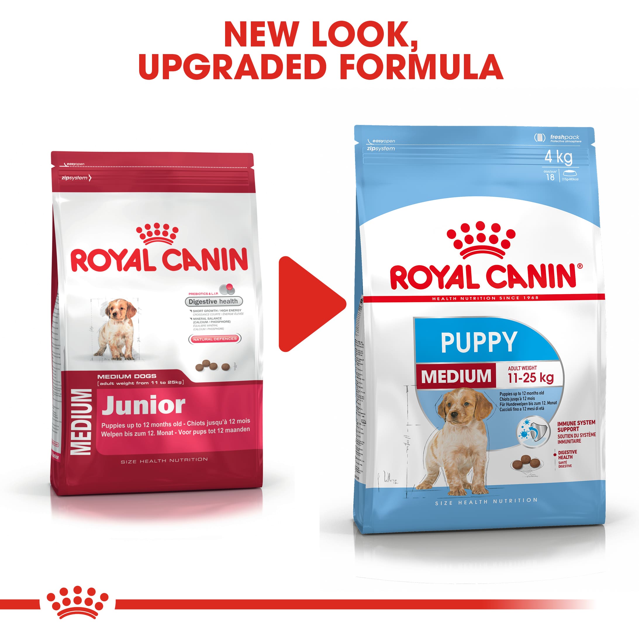 royal canin 11