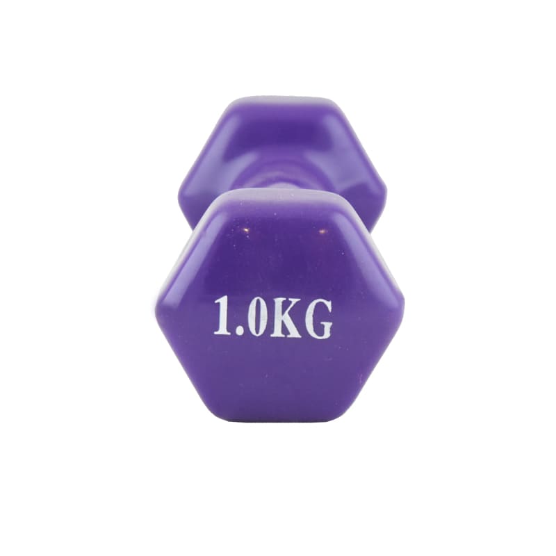 Dumbbell 1 kg (1 piece) for body workout

