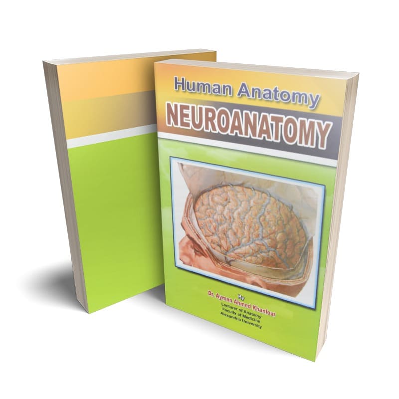 كتاب Human Anatomy - Neuroanatomy لدكتور أيمن أحمد خنفور - جامعة الأسكندرية