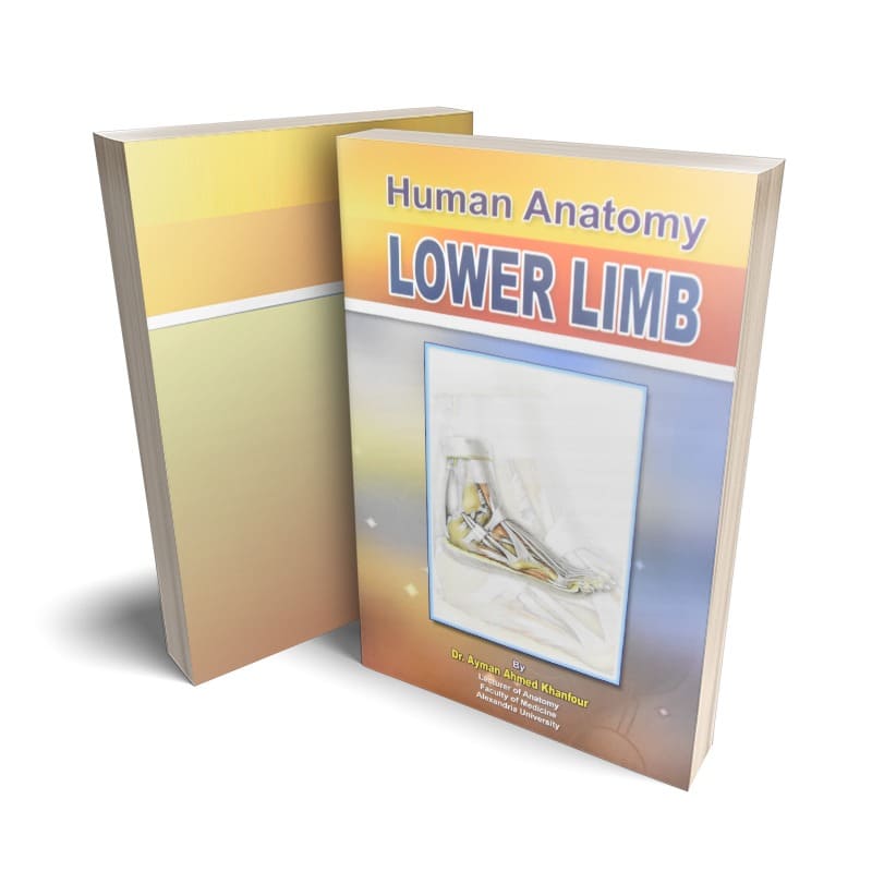 كتاب Human Anatomy - Lower Limb لدكتور أيمن أحمد خنفور - جامعة الأسكندرية