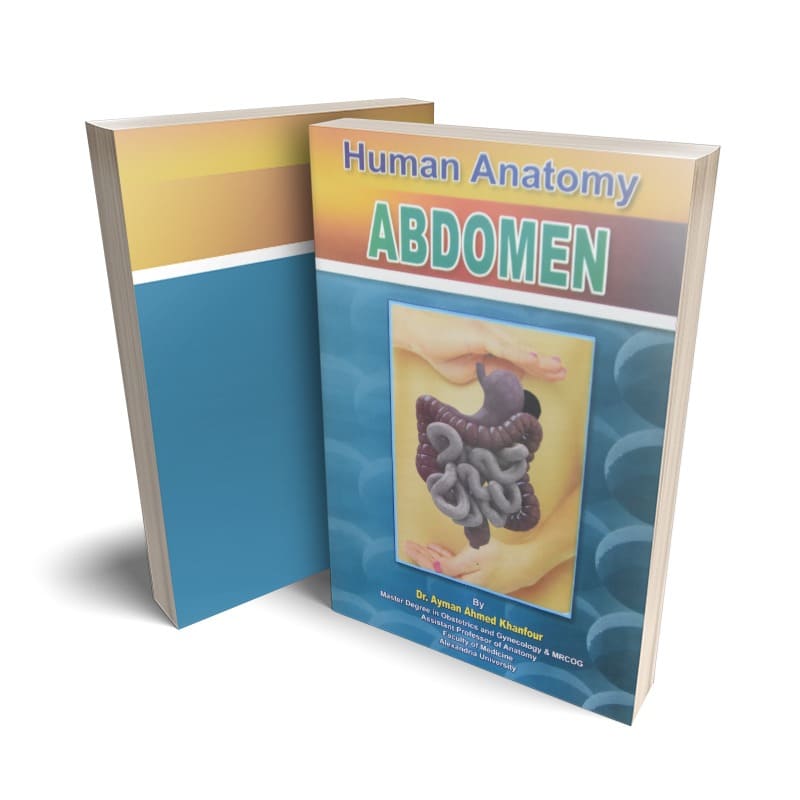 كتاب Human Anatomy - Abdomen لدكتور أيمن أحمد خنفور - جامعة الأسكندرية