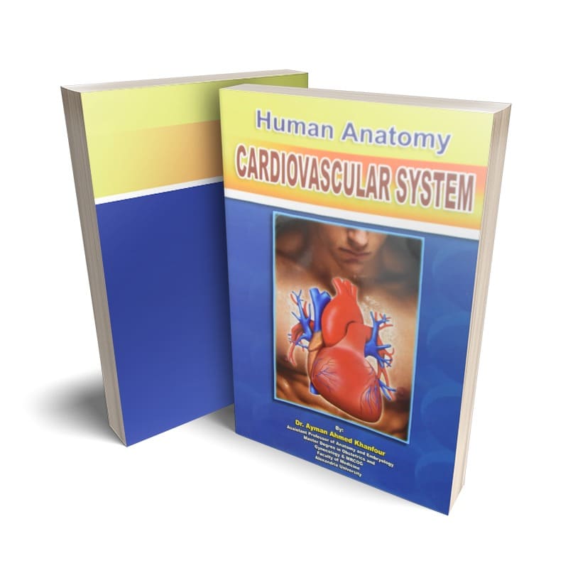 كتاب Human Anatomy - Cardiovascular System لدكتور أيمن أحمد خنفور - جامعة الأسكندرية
